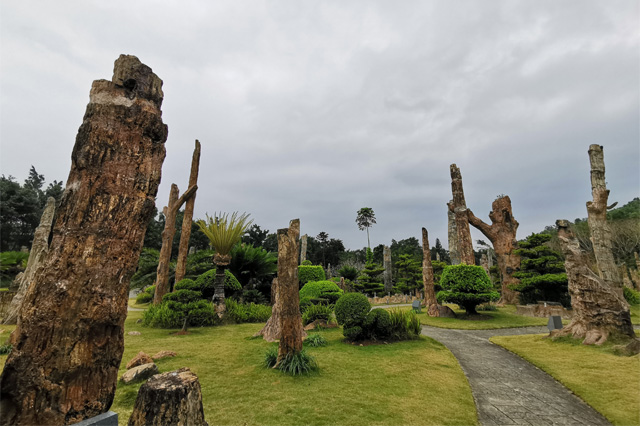 Giardino botanico del lago delle fate