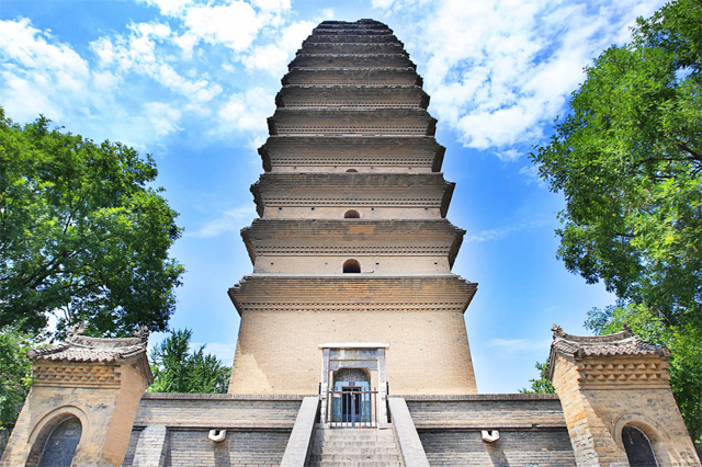 Pagoda della piccola oca selvatica