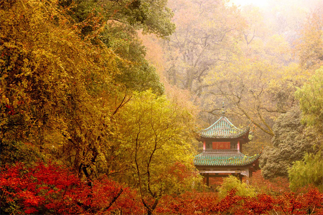 岳麓の山