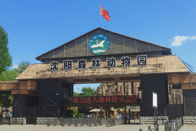 Zoo della foresta di Shenyang