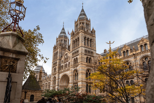 Museum für Natur kunde in London