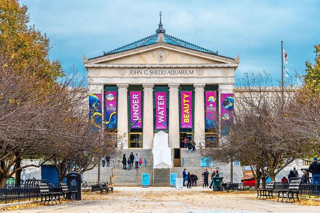 Shedd Aquarium