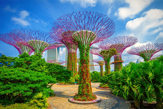 Jardín de Marina Bay