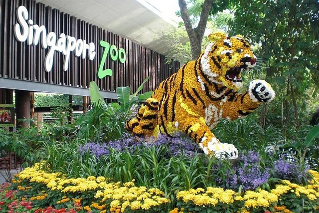 Zoo de Singapour